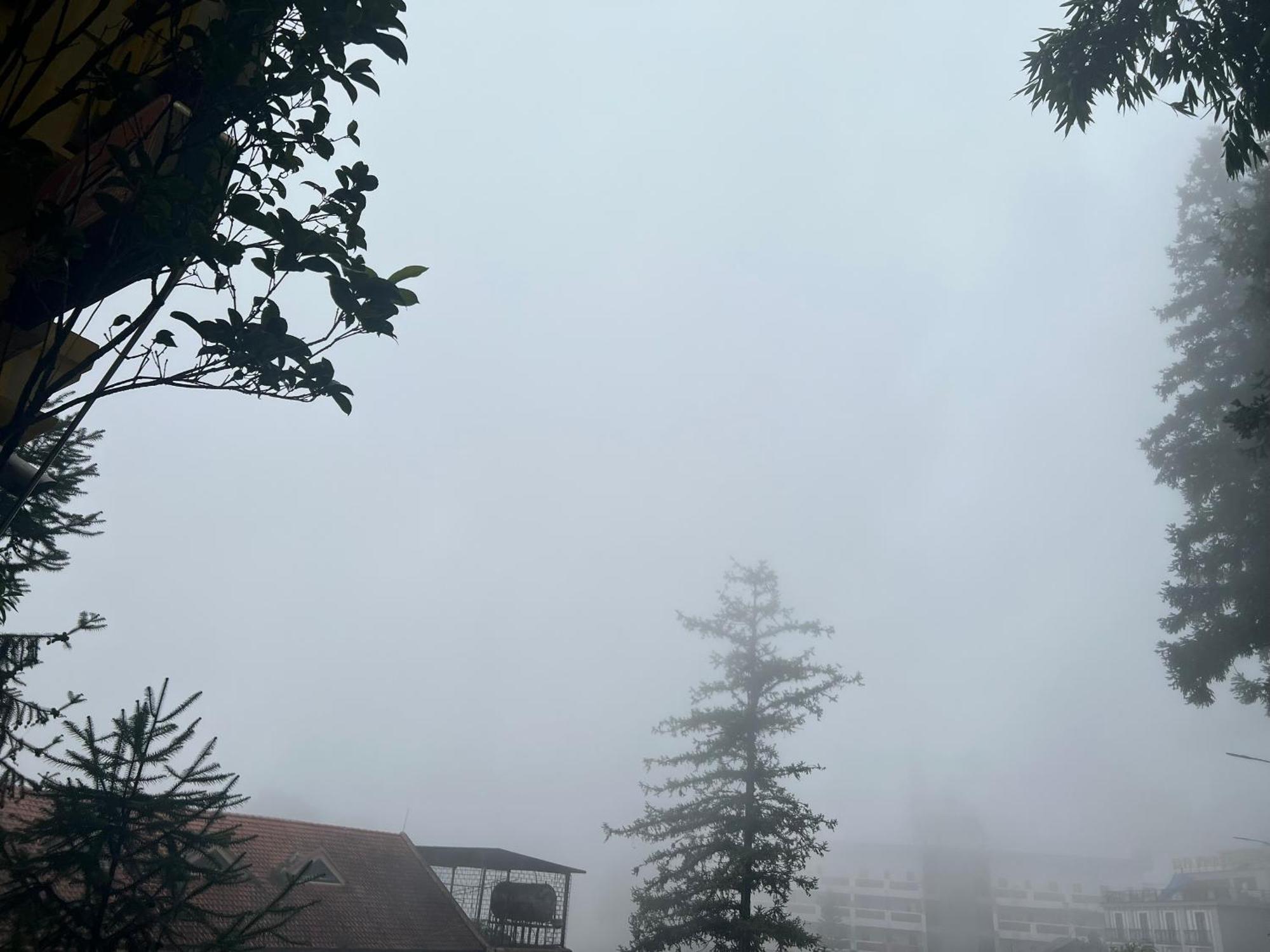 Sapa Elite Hotel Exteriör bild
